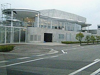 戈登担中锋 坎塞洛左路出击
