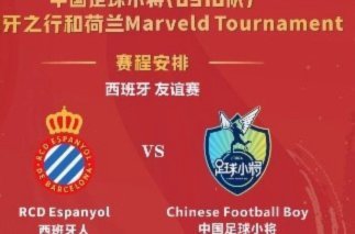中国足球小将巴西行伤病风险高