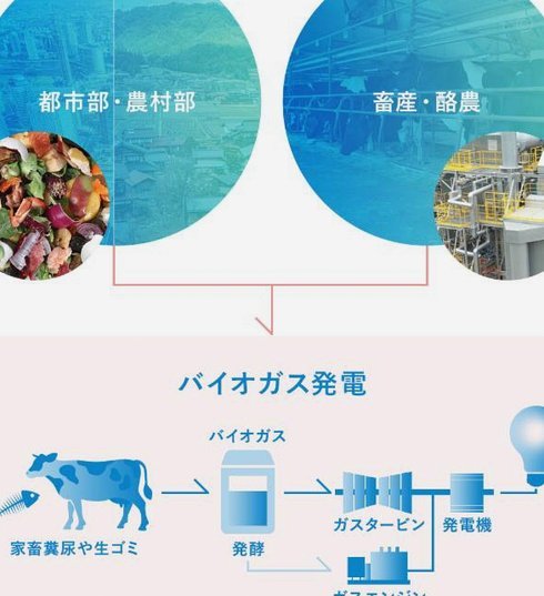 博主：U16国少主帅大卫是被中国足协未经协商直接开除的